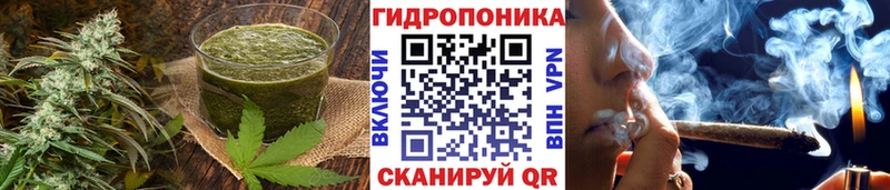 kraken tor  Калининск  Canna-Cookies марихуана 