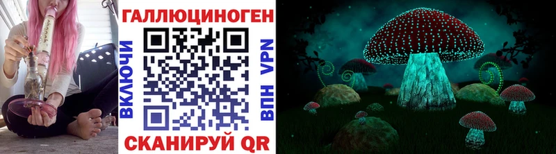 Псилоцибиновые грибы мицелий  Калининск 